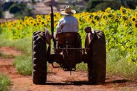 MDA realiza, na próxima semana, Seminário Nacional de Assistência Técnica e Extensão Rural