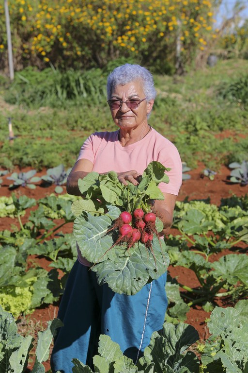 bfb1fe90-dc6c-4020-929c-001244a3b012.jfif