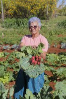 CAF 3.0: Live vai anunciar cronograma de lançamento e promover formação de agentes emissores