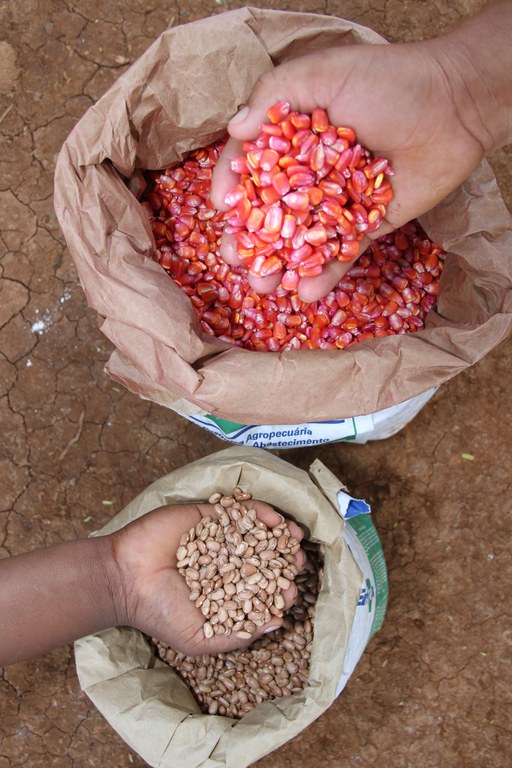 Plano Brasil sem Miseria Janauba-MG.jpg