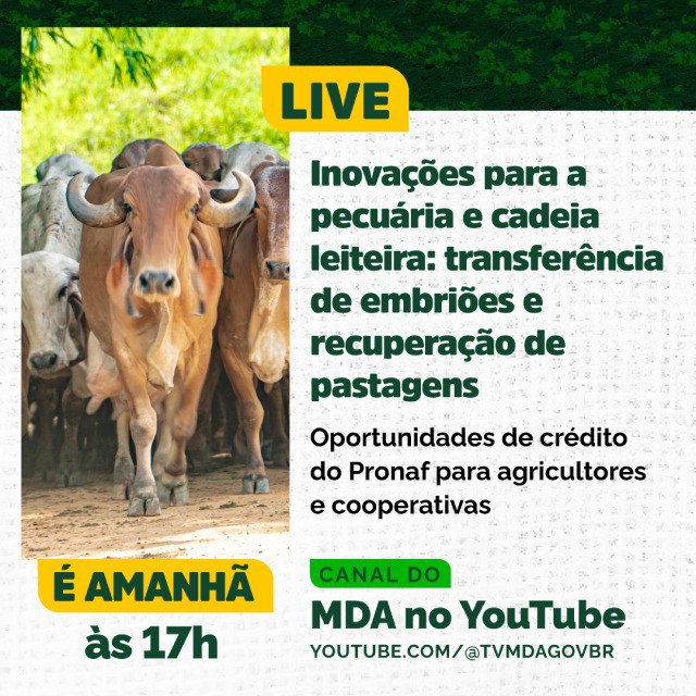 682215d2-6446-46f9-8062-397c637f7037.jfif