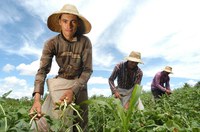 Crédito Fundiário permite avanços e novas oportunidades para agricultores familiares no Brasil