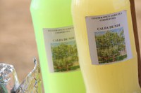 MDA, Ministério da Saúde e Fiocruz celebram parceria para viabilizar plantas medicinais pela agricultura familiar