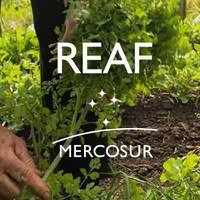 Brasília recebe 43ª Seção Nacional da REAF