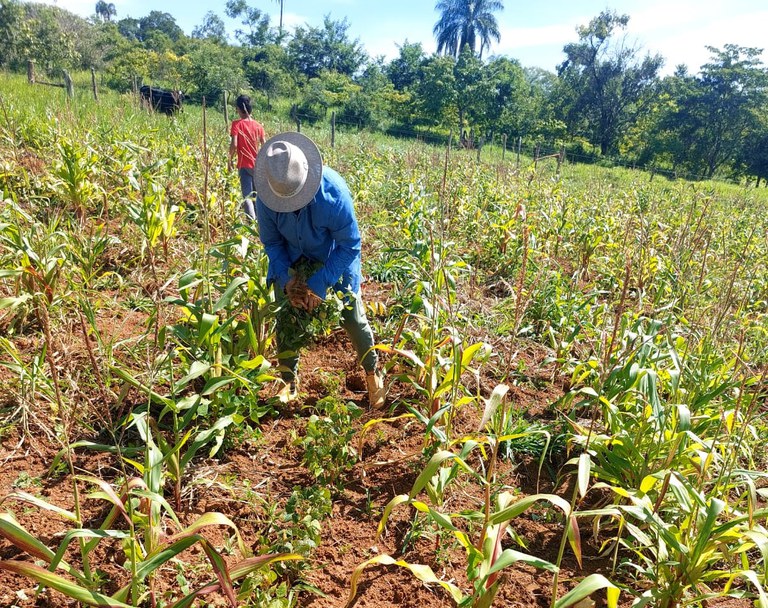 WhatsApp Image 2025-05-08 at 17.39.01.jpeg