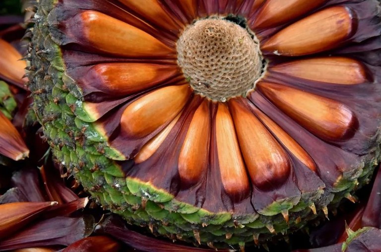 144d175c-16b8-4455-aea1-1902a249fb9f.jfif