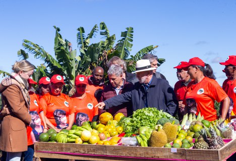 No assentamento há o cultivo orgânico de grãos, hortaliças, verduras e frutas, além de pequenas criações de animais. Foto: Elio Rizzo/Ascom-MDA