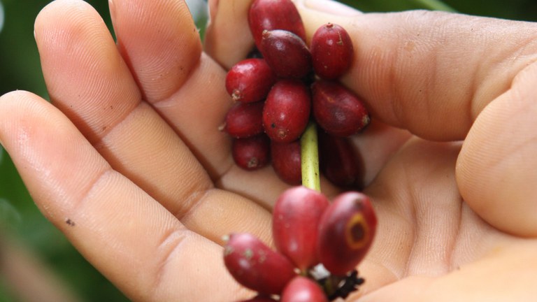 118e4376-8454-4869-9d4e-febbc45af799.jfif