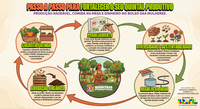 Agricultura familiar: saiba como estruturar quintais produtivos para a soberania alimentar