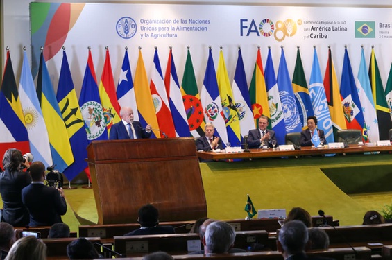 Foto: Elio Rizzo - Ascom/MDA