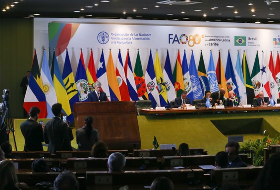 Foto: Elio Rizzo - Ascom/MDA