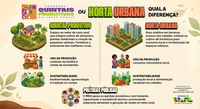 Diferenças entre quintais produtivos e hortas urbanas