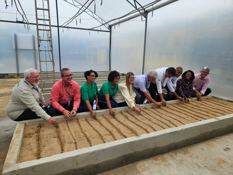 Fotos: Caroline Barbosa/Embrapa