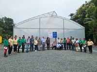 MDA fortalece cadeia produtiva da mandioca com capacitação sobre produção de mudas com qualidade genética e sanitária