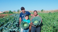 Dia da Trabalhadora e do Trabalhador Rural celebra quem sustenta a produção de alimentos no Brasil