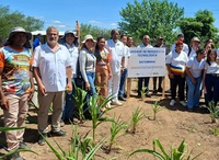MDA e Embrapa levam o Projeto Sisteminha Comunidades para territórios quilombolas e indígenas da região nordeste