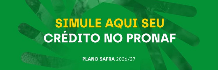 Saiba quais linhas de crédito do programa podem atender as suas necessidades