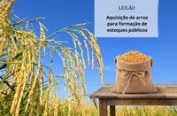 Governo brasileiro realiza primeiro leilão de compra de arroz para formar estoques públicos