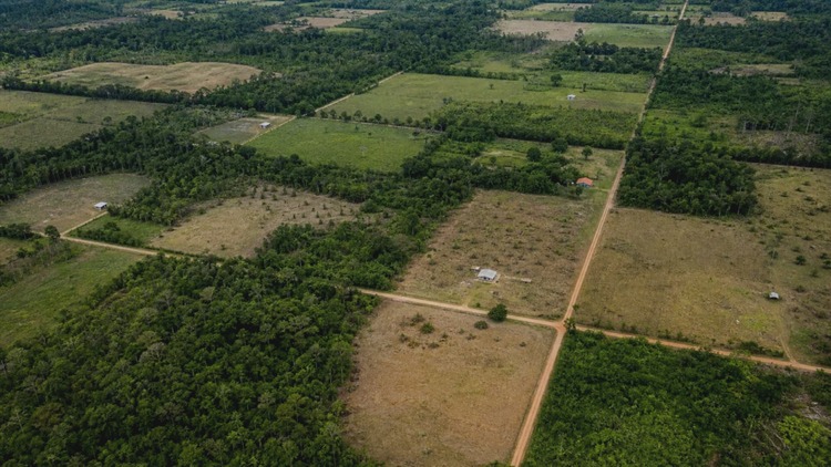 Reforma agrária: Governo do Brasil faz acordo com empresa devedora e destina terras a 5,7 mil famílias nos estados do Maranhão e da Paraíba