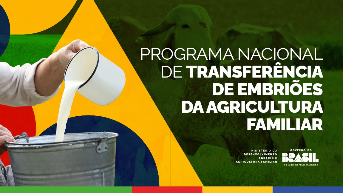 Genética de ponta no campo: MDA impulsiona transferência de embriões na agricultura familiar