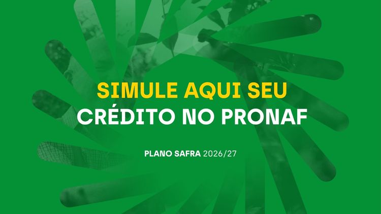 Simulador de Crédito do PRONAF