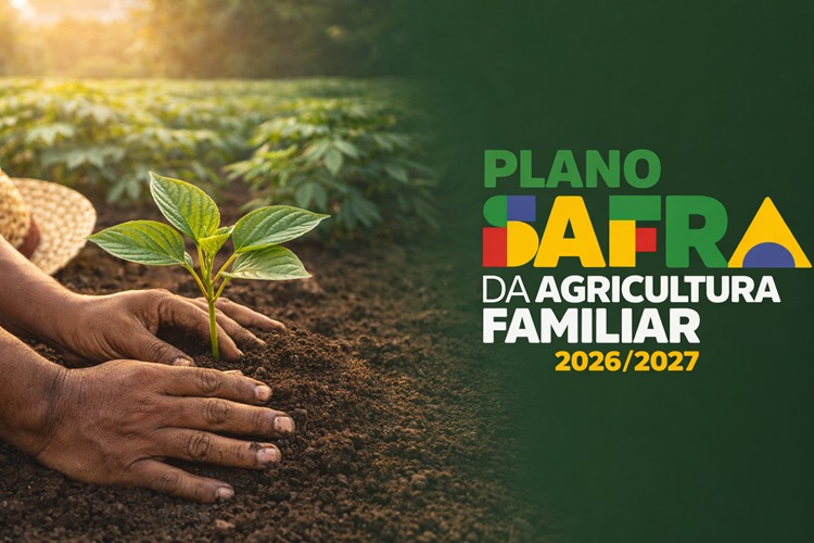 MDA abre consulta pública para o Plano Safra da Agricultura Familiar 2026/2027