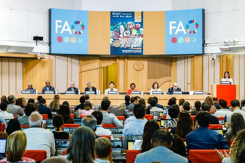 FAO: Brasil segue fora do Mapa da Fome da ONU e amplia acesso à alimentação saudável