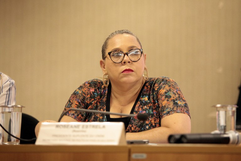 A secretária adjunta da SNPM, Roseane Calvante de Freitas Estrela, participou da da 55ª Reunião Ordinária do CNDM, em Brasília (Foto: Willian Meira - MMFDH)