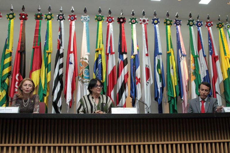 Palestra aborda a importância da paternidade na sociedade