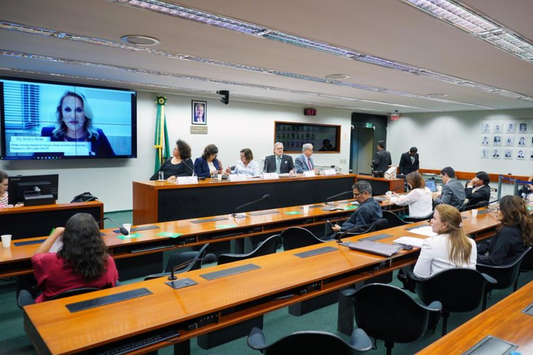 Secretário Antonio Costa participa de audiência pública sobre o CNDI