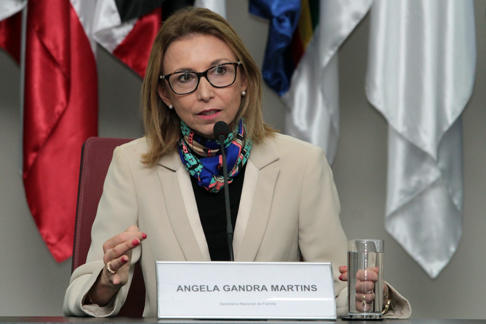 A secretária nacional da Família, Angela Vidal Gandra, enfatizou que o órgão vai projetar, no campo da família e do trabalho, políticas públicas que visam alcançar os diversos segmentos que compõem o Brasil