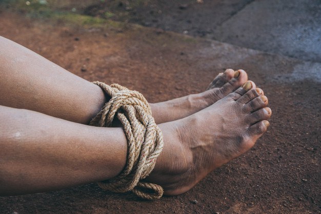 Governo Federal divulga Fluxo Nacional para Atendimento às Vítimas de Trabalho Escravo
