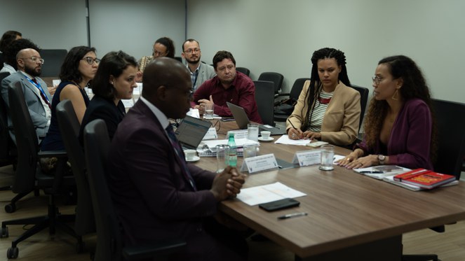 Integrantes da sociedade civil também participaram do encontro por videoconferência