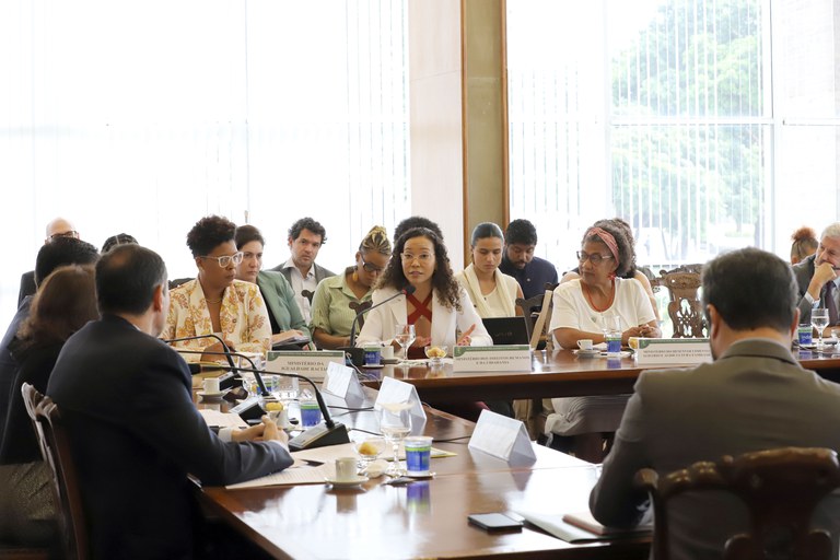 Direitos Humanos contribui para preparação da Conferência Regional da Diáspora Africana