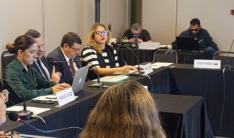 No Paraguai, delegação brasileira apresenta ações de direitos humanos para altas autoridades do Mercosul
