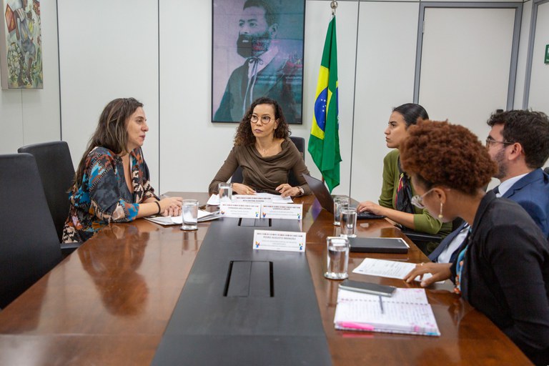 Rita Oliveira dialoga com parlamentares sobre remanejamento de emendas individuais para envio de verbas ao RS