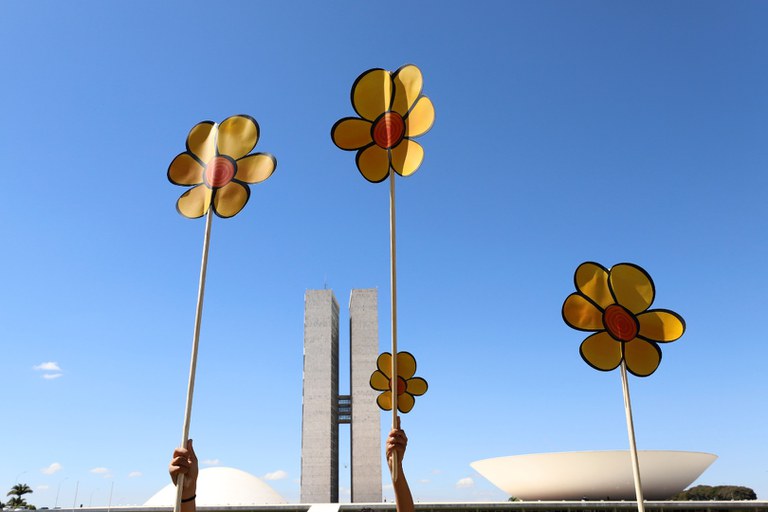 Ato simbólico fez o plantio de flores da Campanha Faça Bonito