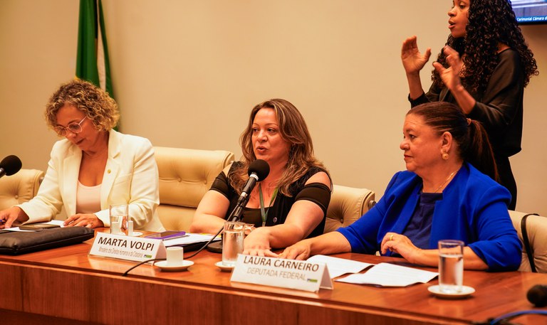Em seminário na Câmara dos Deputados, representante do MDHC defende revisão de políticas públicas para garantir efetividade legislativa