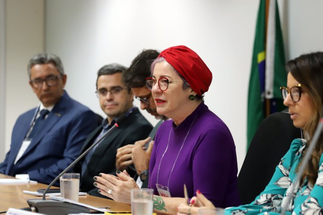 A diretora de Promoção dos Direitos Humanos da SNDH/MDHC, Márcia Lucena (Foto: Clarice Castro)