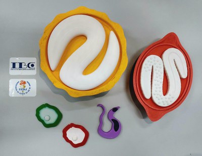 Protótipo de material para pessoas cegas desenvolvido em um dos laboratórios (Foto: SNDPD/MDHC/Divulgação)