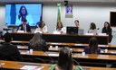 MDHC debate parentalidade e cuidado em seminário na Câmara dos Deputados