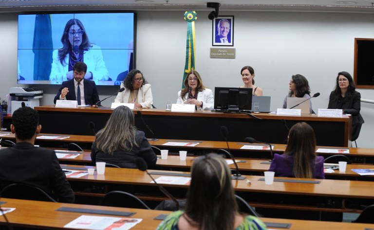 MDHC debate parentalidade e cuidado em seminário na Câmara dos Deputados