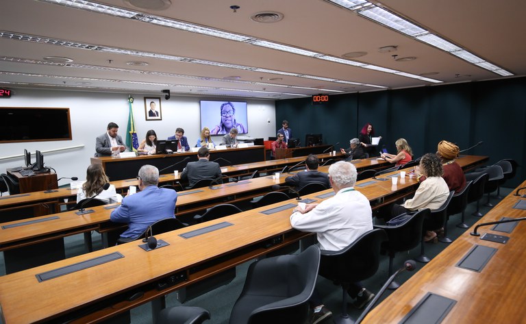 Com participação do MDHC, seminário na Câmara amplia diálogo interfederativo sobre direitos humanos e igualdade racial