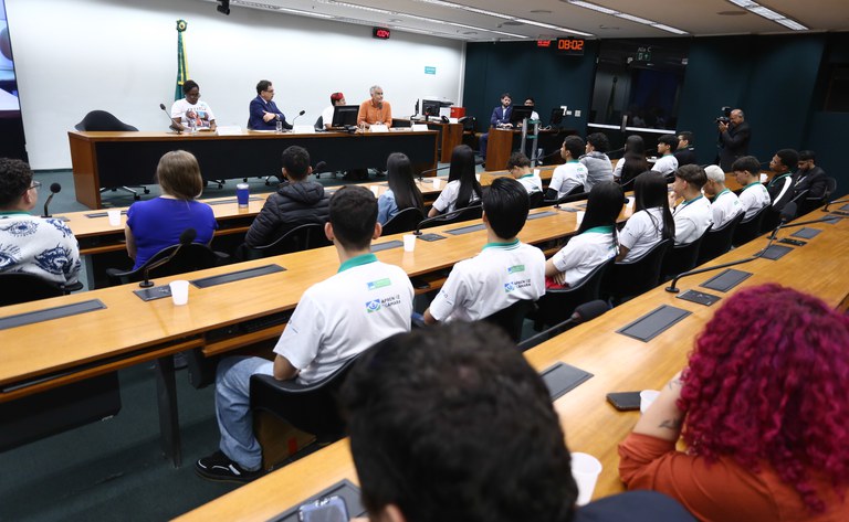 MDHC participa de audiência na Câmara sobre violência letal contra crianças e adolescentes