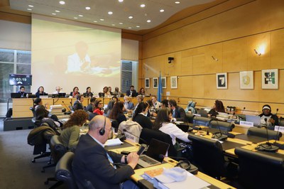 Na reunião, especialistas do comitê fazem perguntas, que são respondidas pela delegação do país (Foto: Raul Lansky/MDHC)