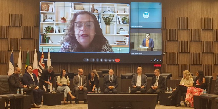 Etapa Sudeste da revisão do Plano Decenal Nacional dos Direitos da Criança e do Adolescente é realizada em BH