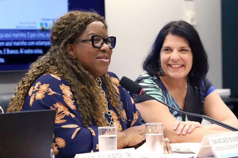 Na Câmara, ministra apresenta ações do MDHC em prol dos mais de 16 milhões de brasileiros com deficiência