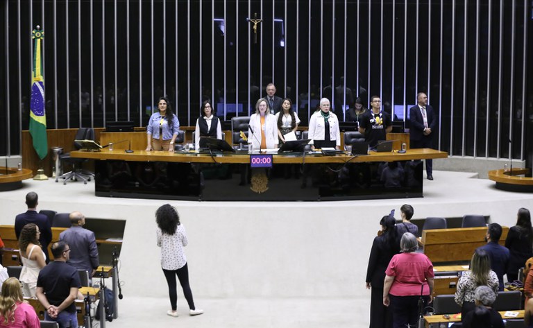Secretária do MDHC destaca avanços na proteção a crianças e adolescentes em sessão da Câmara sobre combate à violência sexual