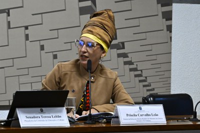 (Foto: Waldemir Barreto/Agência Senado)