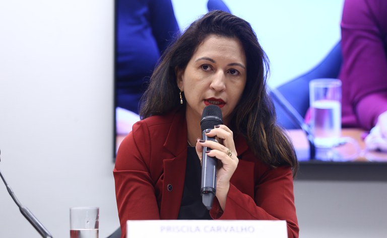 MDHC defende diversidade religiosa em audiência pública na Câmara dos Deputados